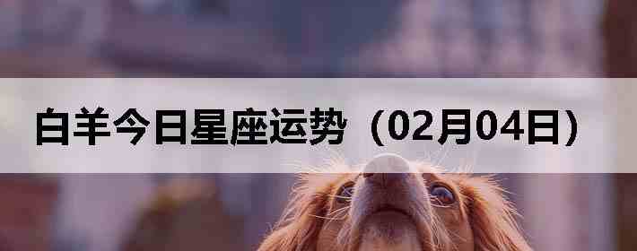 ��������������ƣ�02��04�գ�