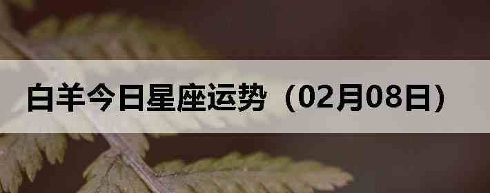 ��������������ƣ�02��08�գ�