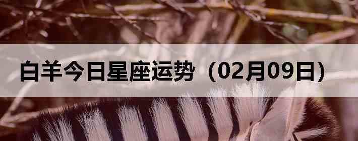 ��������������ƣ�02��09�գ�