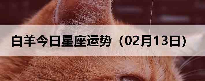 ��������������ƣ�02��13�գ�