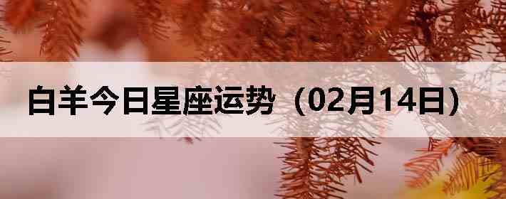 ��������������ƣ�02��14�գ�