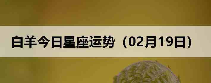 ��������������ƣ�02��19�գ�