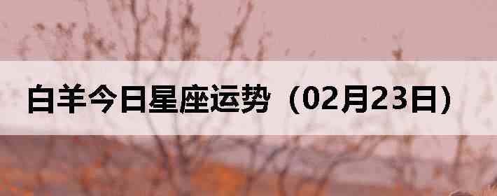 ��������������ƣ�02��23�գ�