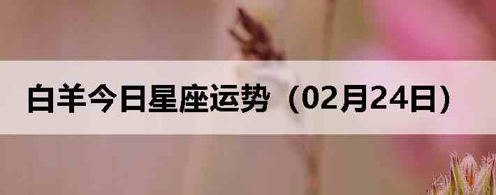 ��������������ƣ�02��24�գ�