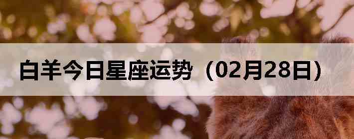 ��������������ƣ�02��28�գ�