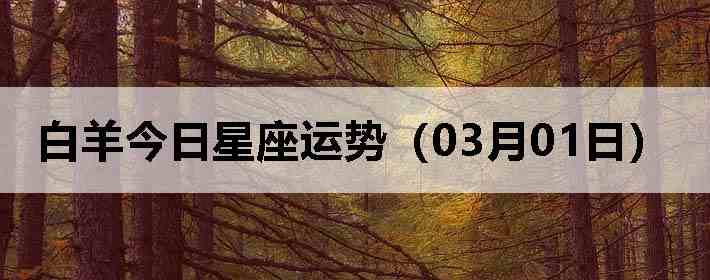 ��������������ƣ�03��01�գ�