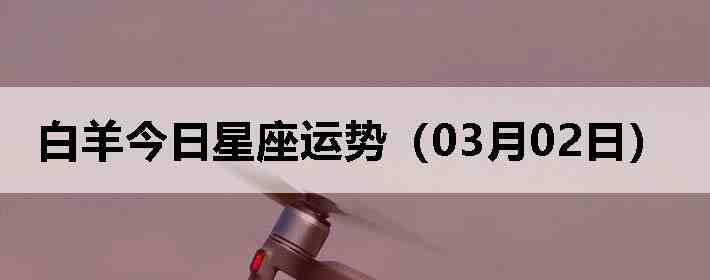 ��������������ƣ�03��02�գ�