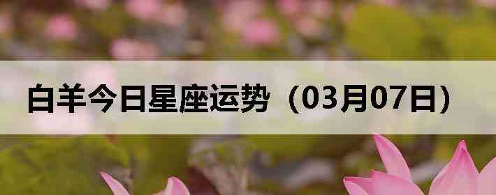 ��������������ƣ�03��07�գ�