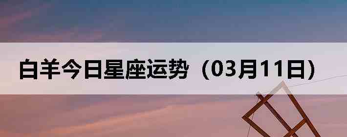 ��������������ƣ�03��11�գ�