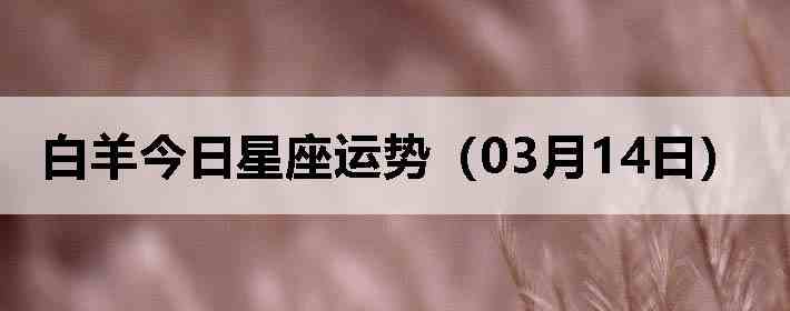 ��������������ƣ�03��14�գ�