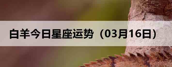 ��������������ƣ�03��16�գ�