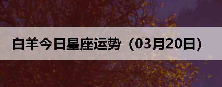 ��������������ƣ�03��20�գ�