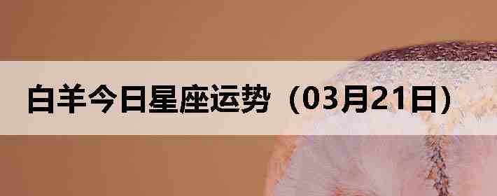 ��������������ƣ�03��21�գ�