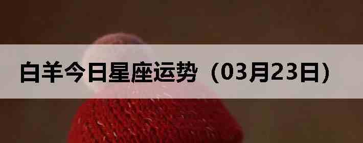 ��������������ƣ�03��23�գ�