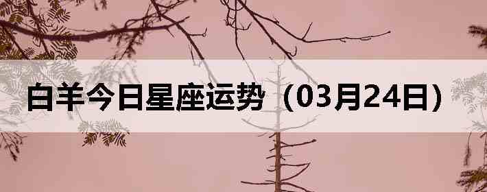 ��������������ƣ�03��24�գ�