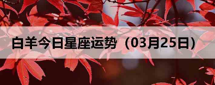 ��������������ƣ�03��25�գ�