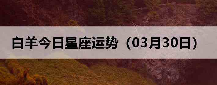 ��������������ƣ�03��30�գ�