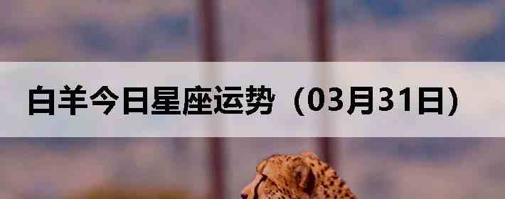 ��������������ƣ�03��31�գ�