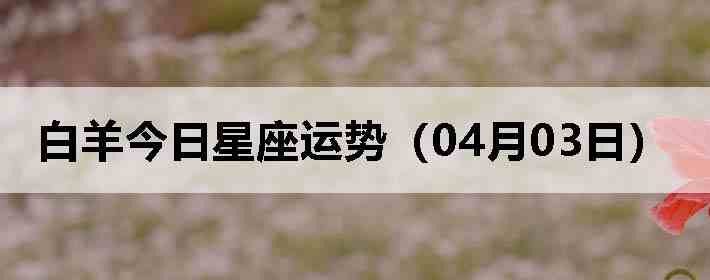 ��������������ƣ�04��03�գ�