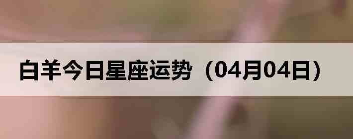 ��������������ƣ�04��04�գ�