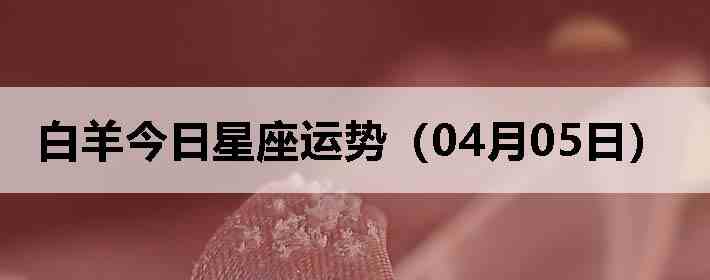 ��������������ƣ�04��05�գ�