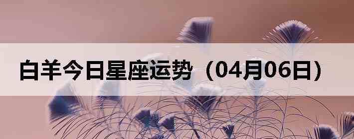 ��������������ƣ�04��06�գ�