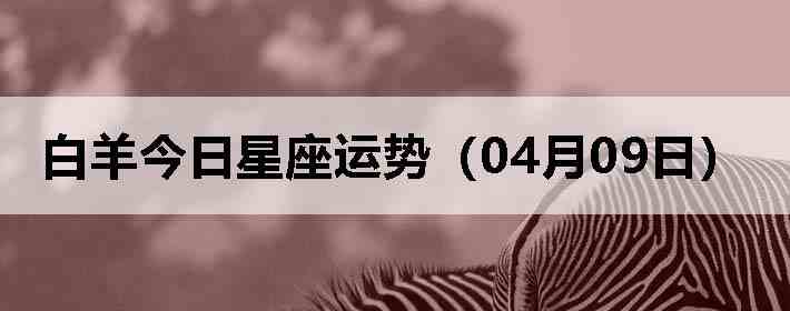 ��������������ƣ�04��09�գ�