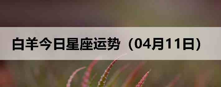 ��������������ƣ�04��11�գ�