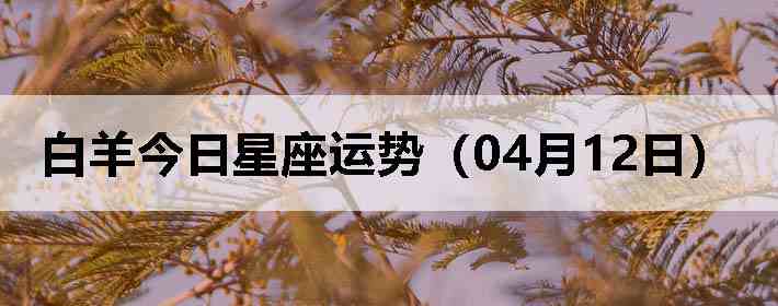 ��������������ƣ�04��12�գ�