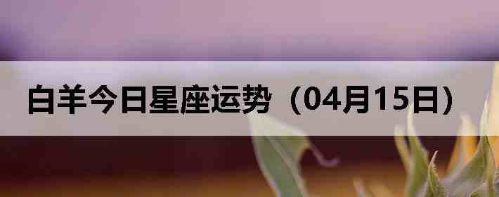 ��������������ƣ�04��15�գ�