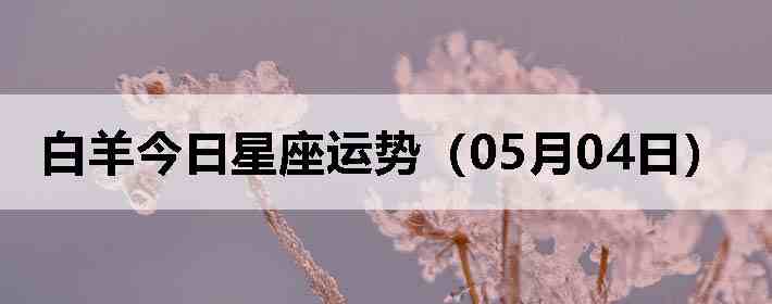 ��������������ƣ�05��04�գ�