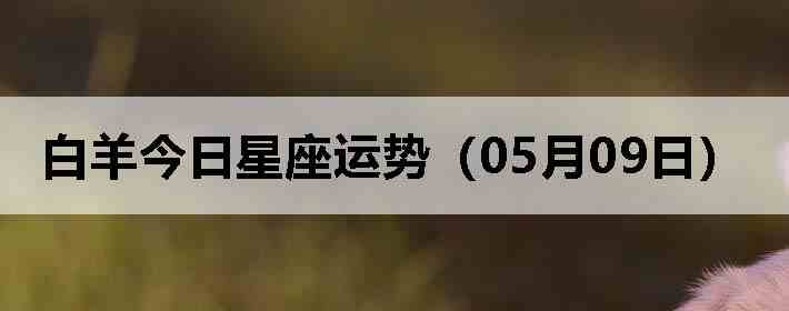 ��������������ƣ�05��09�գ�