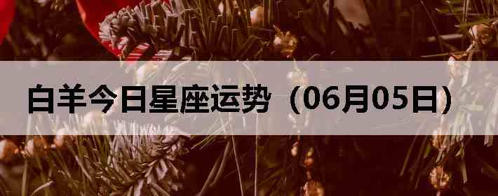 ��������������ƣ�06��05�գ�