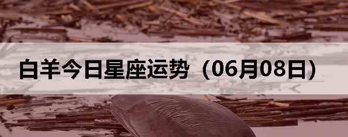 ��������������ƣ�06��08�գ�