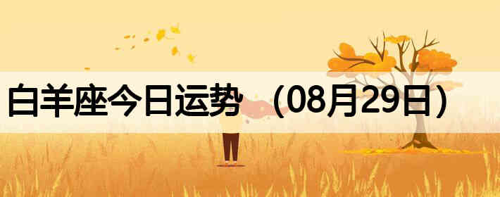 ��������������ƣ�08��29�գ�