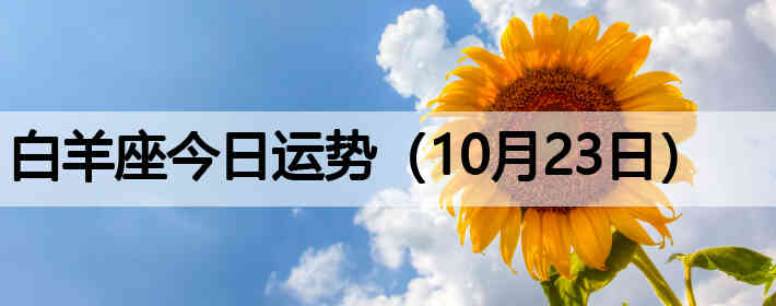 ��������������ƣ�10��23�գ�