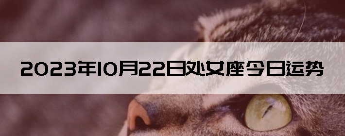 20231022մŮ