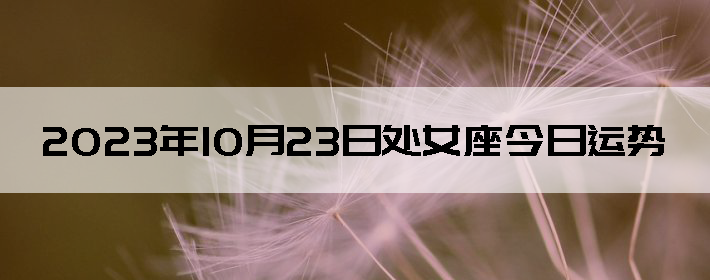 20231023մŮ