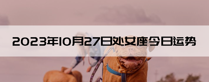 20231027մŮ