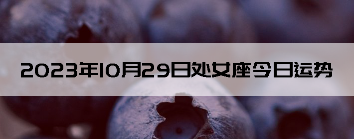 20231029մŮ