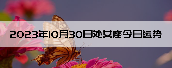 20231030մŮ