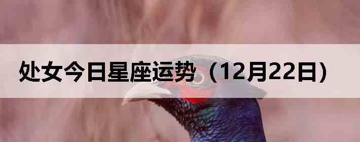 ��Ů�����������ƣ�12��22�գ�