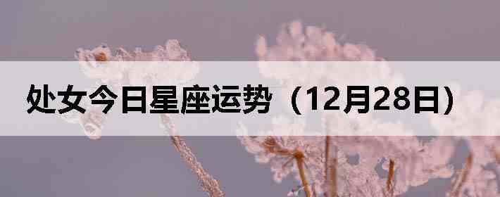 ��Ů�����������ƣ�12��28�գ�