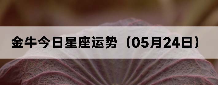ţƣ0524գ