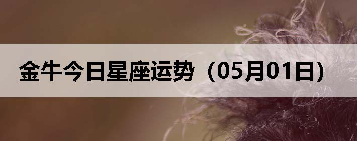ţƣ0501գ