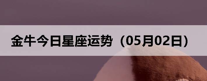 ţƣ0502գ