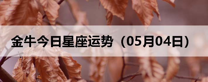 ţƣ0504գ