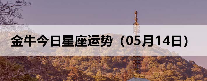 ţƣ0514գ