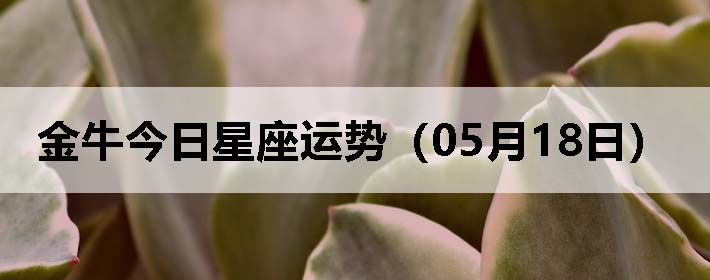 ţƣ0518գ