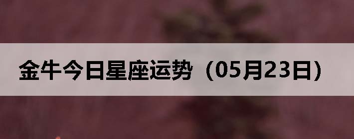 ţƣ0523գ